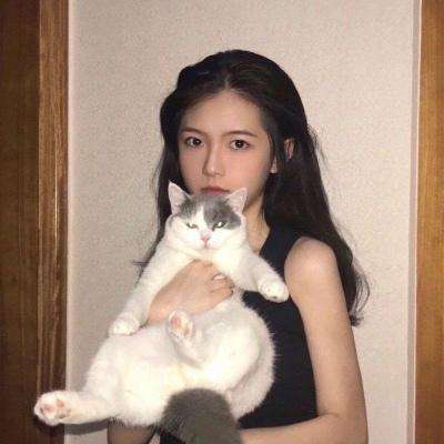 通天诀之不朽7713版下载